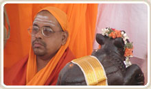 Swami Paramarthananda Saraswati